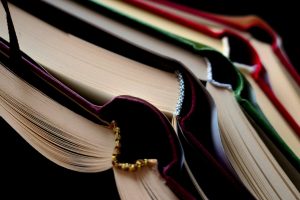 Magnet School vs Charter School: Understanding the Differences in Education