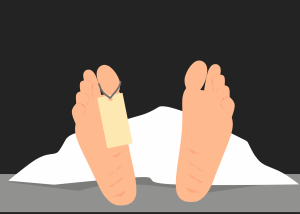 What College in Billings Would Help Toward a Mortuary Science Program?